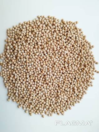 7mm Chickpeas