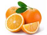 Апельсины ОПТОМ из Турции - фото 1