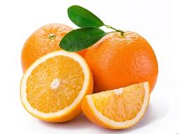 Апельсины ОПТОМ из Турции