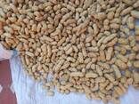 Peanuts from Uzbekistan - фото 5