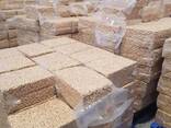 Ashew Nuts W240 W320 W450 Dried Wholes Cashew Nut - photo 1