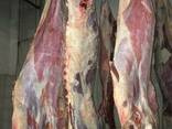 Beef, Cow, Veal / Halal - photo 2