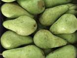 Best pears from Poland wholesale