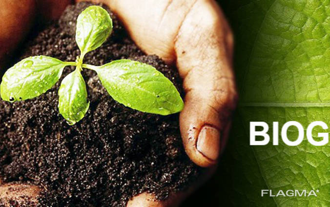 Biohumus / Vermicompost / Natural fertilizer