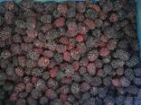 بلاك بيري مجمدة \ Blackberry frozen - photo 1
