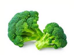 Broccolli 2025 from sunny Uzbekistan