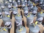 Buy Silver and Red Liquid Mercury Whatsapp: 33 605715502 - photo 1