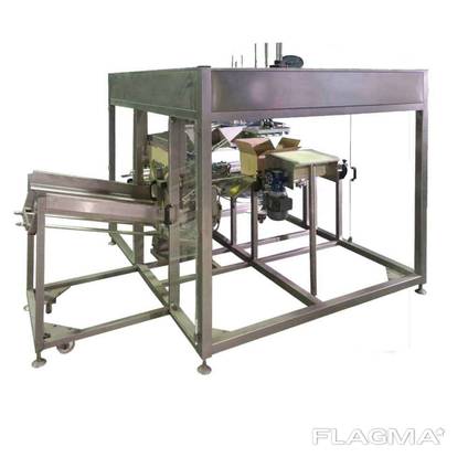 Carton Boxing Machine