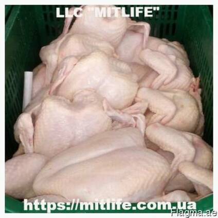 Chicken meat Freshly frozen chicken meat chicken LLC Mitlife