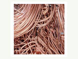 Copper Cable Copper Wire Scrap \ Copper Wire Scrap - фото 3