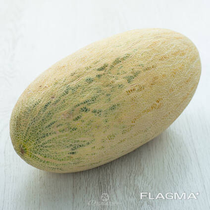 Дыня сорт торпеда из Узбекистана