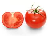 Fresh Tomatoes, Type El Bandito from Turkmenistan - photo 1