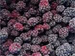 Frozen berries, fruits, berry-fruit and compote mixes. - photo 1