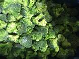 البروكلي المجمد \ Frozen broccoli - photo 1