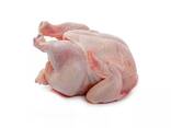 Frozen chicken breast/Hot Selling Frozen Chicken Breast For Sale - photo 2