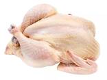 Frozen chicken breast/Hot Selling Frozen Chicken Breast For Sale - photo 4