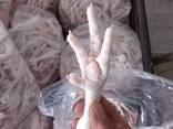 Frozen Chicken Paws Feet Wholesale Top Grade Chicken Paws Frozen Chicken Paws Feet Ready F - фото 1