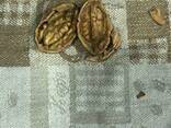 Грецкий орех в скорлупе / Walnut in shell - фото 6