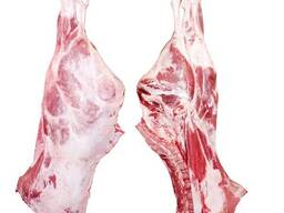 Halal Frozen Beef Carcass / Frozen beef feet / Frozen beef Head