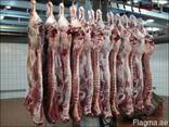 Halal Meat Beef Half/Quarter Carcasses
