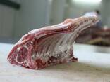 Halal Meat Mutton (Lamb) wholesale export