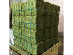 High Quality Alfalfa Hay Pellets and Bales for Horse Cattle Pig Feeding