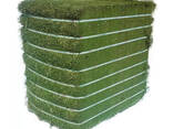 High Quality Alfalfa Hay Pellets and Bales for Horse Cattle Pig Feeding - photo 3