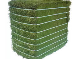 Cheap Feed Grade Alfalfa Hay Pellets for Dogs &amp; Chickens 25kg/bag 2 Year Shelf Life