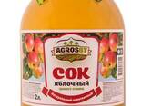 Natural juice from Kazakhstan - photo 3