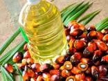 Palm Oil - фото 1