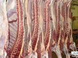 Предлагаем поставку мяса говядиныПродукция из Украны - фото 1