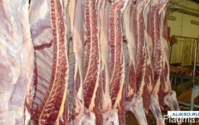 Предлагаем поставку мяса говядиныПродукция из Украны