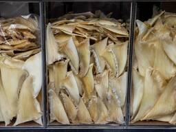 Premium Dried Shark Fins for Sale