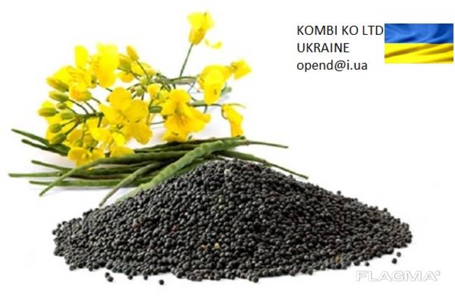 Rapeseed \ Рапс