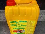 Refined Sunflower Oil - photo 1