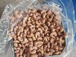 Roasted cashew nuts with skin - photo 1