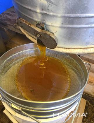 Sell natural honey