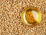 Soybean oil/زيت فول الصويا - photo 1