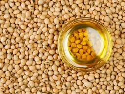 Soybean oil/زيت فول الصويا