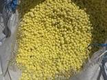 Sulphur Lump Granules for Export - фото 1