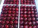 Sweet cherries - фото 6