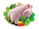 Top quality brazile Frozen chicken breast wholesale prices - фото 1