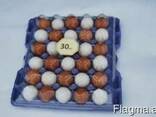 Tray for chicken eggs from PET transparent packaging