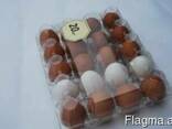 Tray for chicken eggs from PET transparent packaging - photo 4