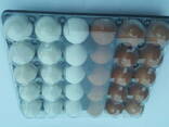 Tray for chicken eggs from PET transparent packaging - photo 6