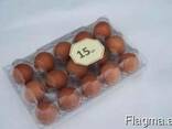 Tray for chicken eggs from PET transparent packaging - photo 7