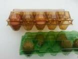 Tray for chicken eggs from PET transparent packaging - photo 8