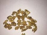 Walnut kernels / Ядро грецкого ореха