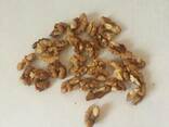 Walnut kernels / Ядро грецкого ореха - фото 5