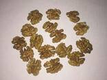 Walnut kernels / Ядро грецкого ореха - фото 6
